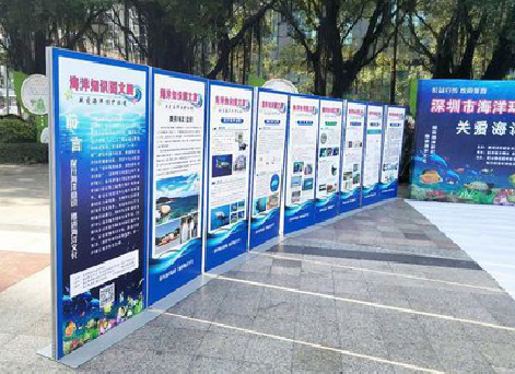 江华KT板的种类和知识。